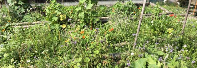 Gartenkind Thementag