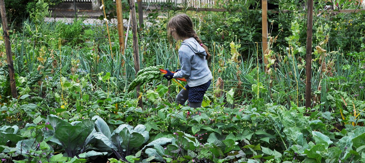 Projekt Gartenkind