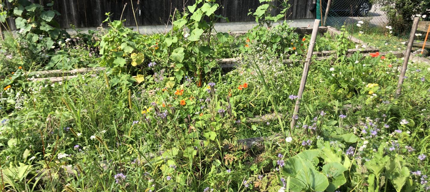 Gartenkind Thementag