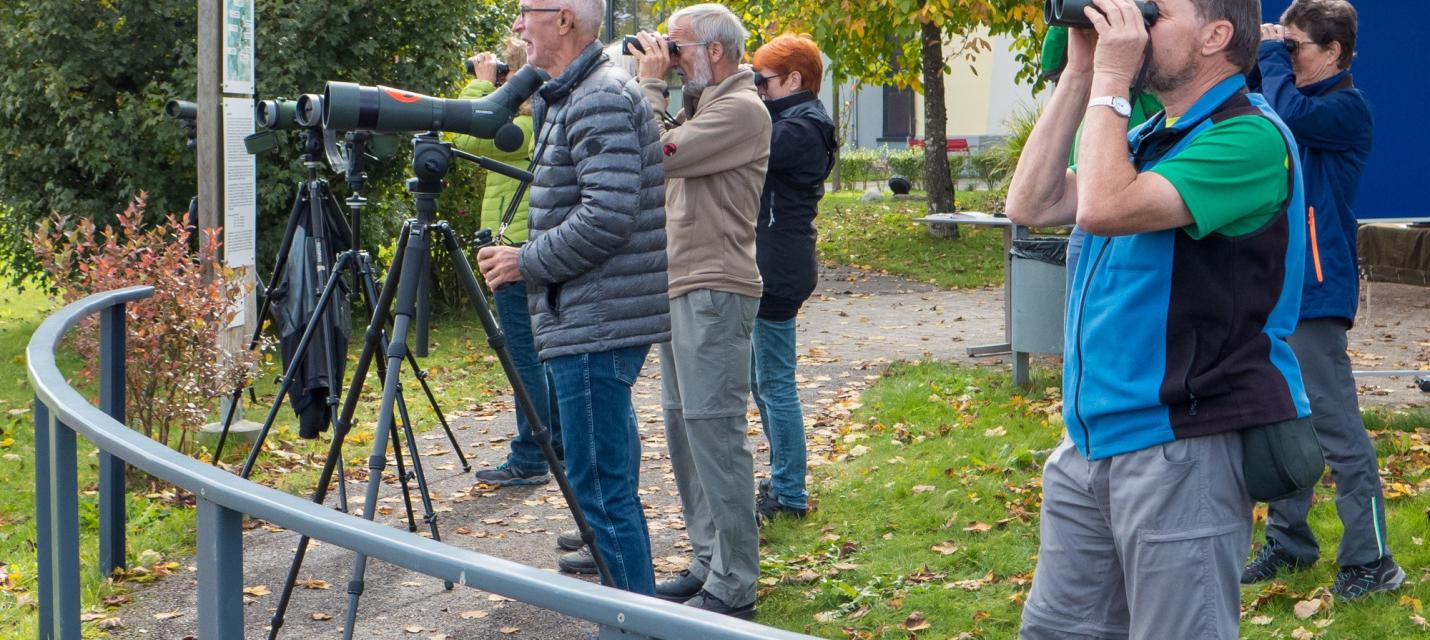 Zugvogeltag am Sennhof Vordemwald